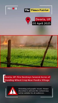 Deoria, UP: Fire Destroys Several Acres of Standing Wheat Crop Near Peedra Village