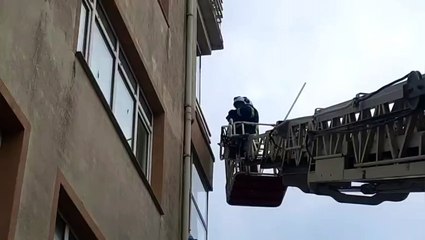 Çamaşır iplerine dolanan güvercin işte böyle kurtarıldı