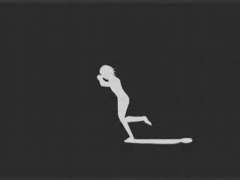 Animation de course - Hybride Solitude - 2008