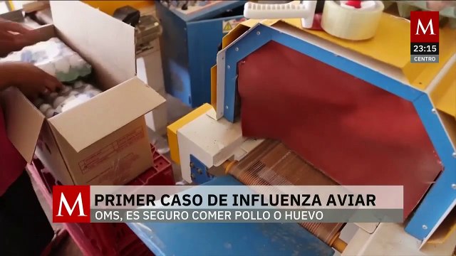 Primer caso de gripe aviar H5N1 en México: todo lo que sabemos sobre el contagio del virus