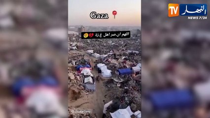 مجتمع: مساندة واسعة للشعب الفلسطيني عبر مواقع التواصل  بعد العدوان الأخير على غزة