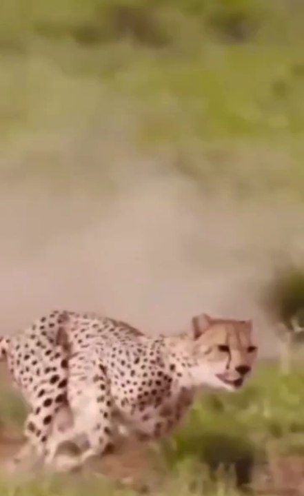 short video,😲😲😲