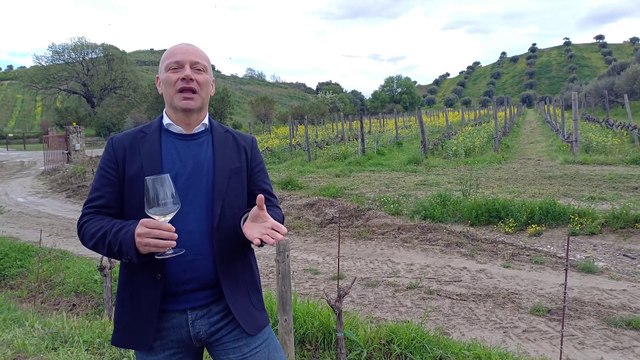 Raffaele Librandi: I nostri vini? Sostenibilità contro i cambiamenti climatici