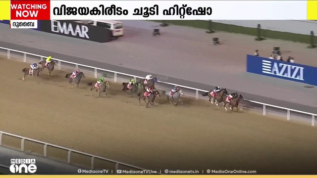 ദുബൈ വേൾഡ് കപ്പ് കുതിരയോട്ട മത്സരത്തിൽ വിജയകിരീടം ചൂടി ഹിറ്റ്ഷോ