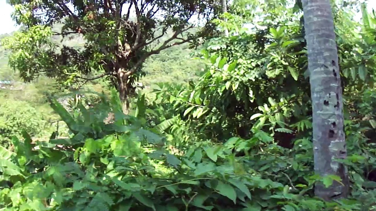 Round on Street of our Hotel