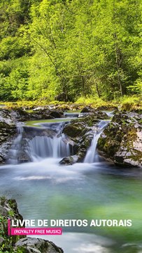 ✅💘Música relaxante flauta indígena e sons da Natureza- Acalmar a mente e relaxar- Fragmentos #55