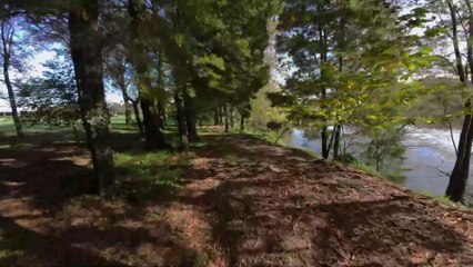 Fast-Paced Drone Action