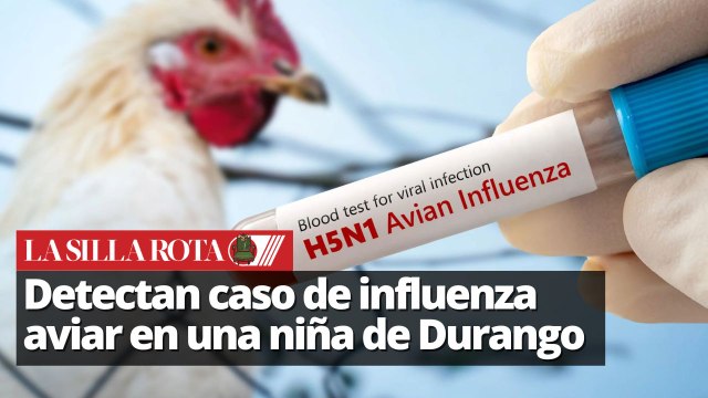 Primer caso humano de influenza aviar H5N1 en México: ¿Estamos en riesgo?