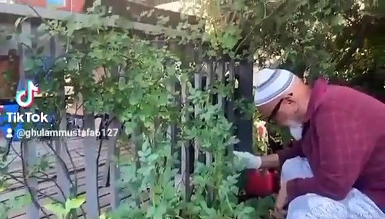 back yard gardening tour_ecommunity news TV_American vlogger_Haji ShabbirHussain_2022