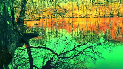 Magical Bird Chirping by the Lake- Incredible Relaxation 4K-001