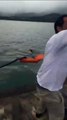 VÍDEO: Cachorro é encontrado à deriva no mar e resgatado por família