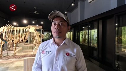 Museum Zoologi Bogor Bangkit dengan Tampilan Modern Setelah 130 Tahun