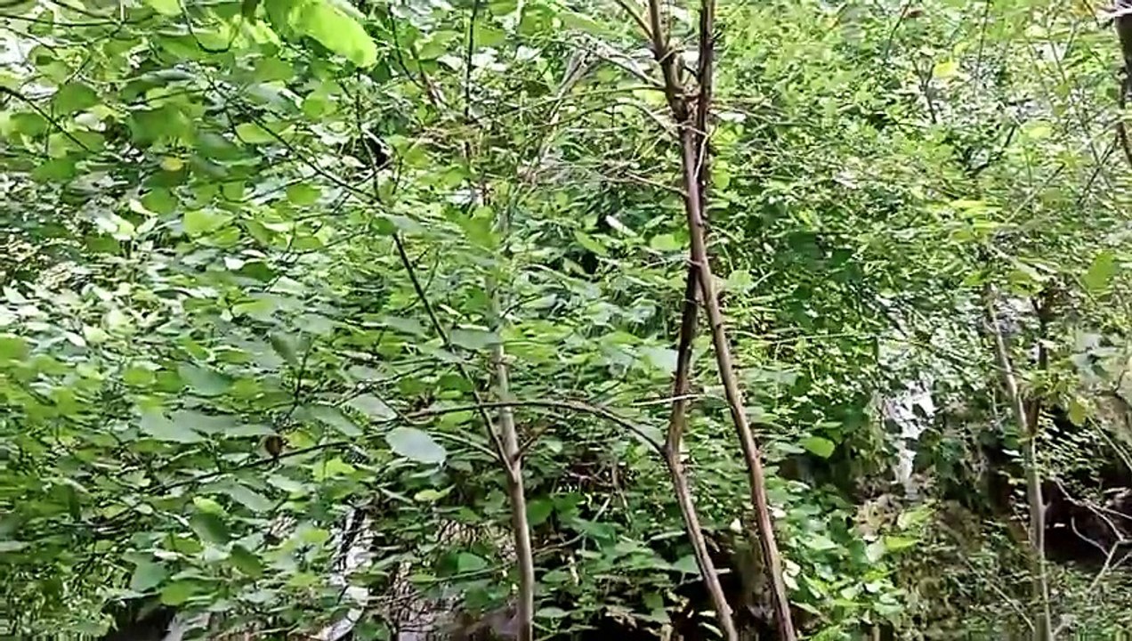 video_20230604_154436