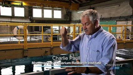 Discovery Drain the Ocean