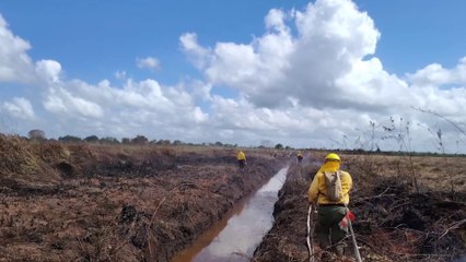 tn7-incendio-forestal-en-refugio-caño-negro-050425