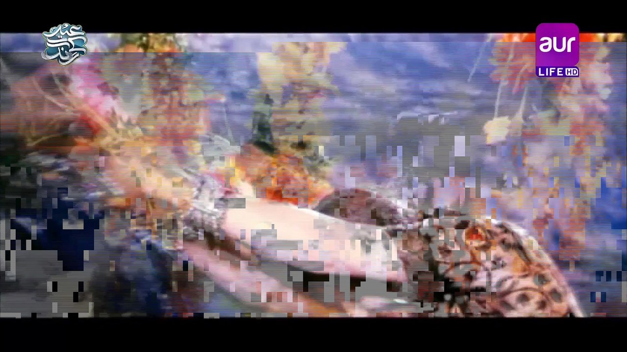 Haanr Deya Mundeya - Saima & Iftikhar Thakur - Pakistani Film Wohti Lay Ke Jaani Ae (2010) Humaira Channa