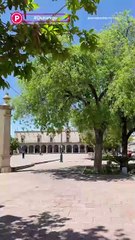 Festival Ricardo Castro Durango: eventos gratuitos