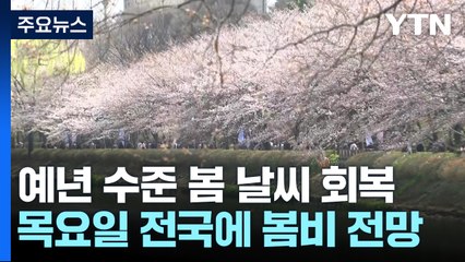 휴일, 예년 수준 봄 날씨...시민들 벚꽃 구경 '북적' / YTN
