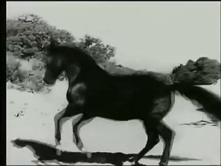 Furia cavallo del West (1955 serie TV) sigla TV Italia