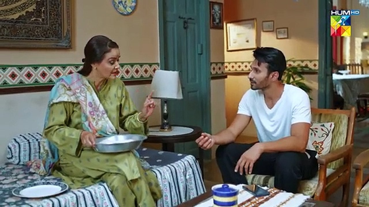 Judwaa - Episode 26 - 4th April 2025 [ Aina Asif & Adnan Raza Mir ] - HUM TV