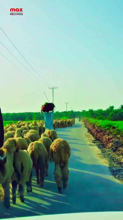 Travel to Village  Stunning Views from Car ❤   Thank you for watching!  If you enjoyed this Video, please follow  my account and like this Post. Your support means everything to me and helps me keep creatin