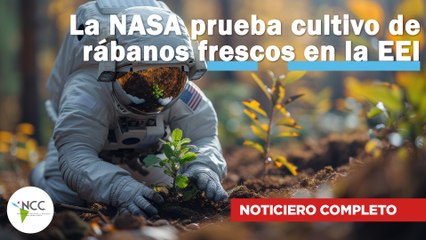 La NASA prueba cultivo de rábanos frescos en la EEI | 748 | 07 al 13 de abril de 2025