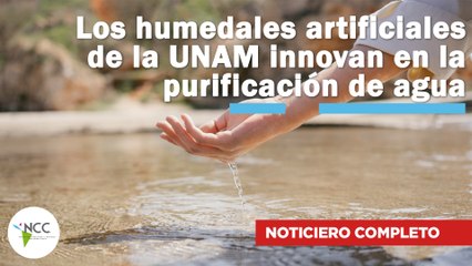 Los humedales artificiales de la UNAM innovan en la purificación de agua | 749 | 7-13 de abril 2025