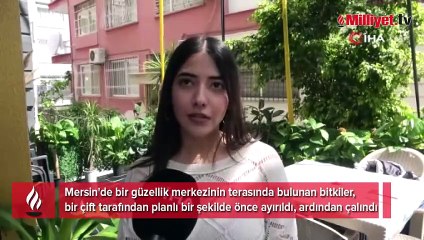 Kedi mamalı tuzak! Yaşlı çiftten şoke eden plan kameraya takıldı