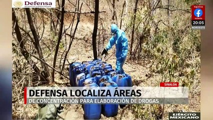Ejército desmantela siete zonas de producción de metanfetamina en Sinaloa