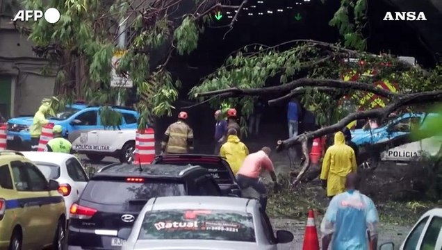 Maltempo in Brasile, allagamenti e alberi caduti a Rio de Janeiro