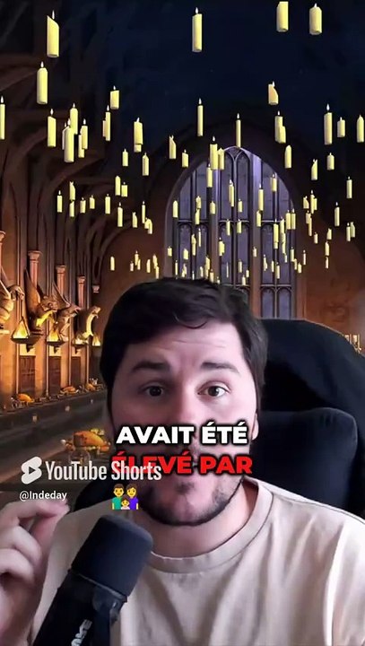 Et si Harry Potter avait grandi chez les Weasleys ? 🧙‍♂️ Une vie très différente…