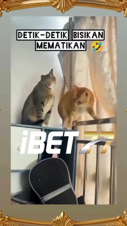 Tertawa Bareng iBet77