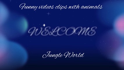 Jungle World: Funny Animal Clips with Humans Part 1 | Hilarious Moments!