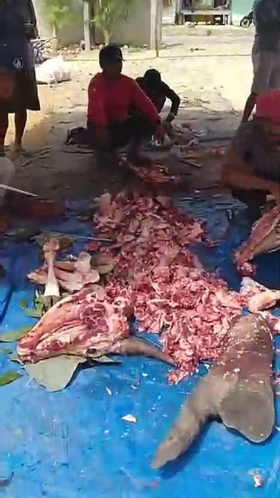 Hari Raya Idul Adha, Potong Hewan Kurban Kambing Sapi  di Musholla An Nashir, Bumi Sari Natar