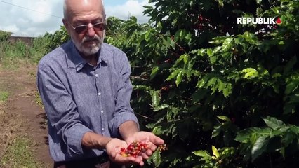 Kopi Brazil Bakal Bertahan dari Serangan Tarif Trump