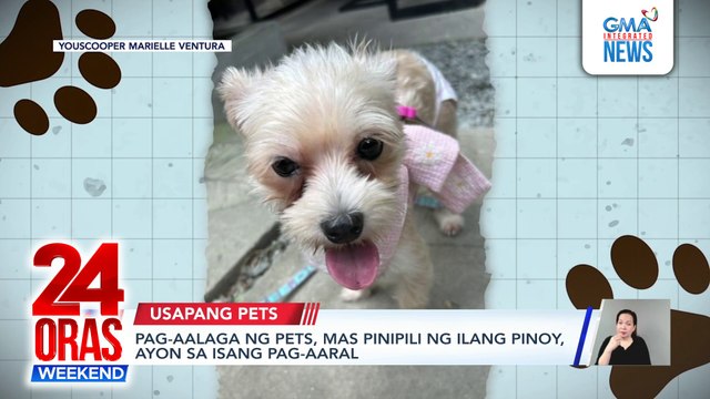 Pag-aalaga ng pets, mas pinipili ng ilang Pinoy, ayon sa isang pag-aaral | 24 Oras Weekend