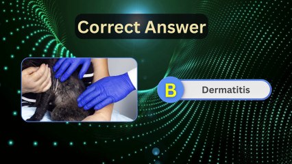 Do You Know a Cat’s Skin Layers? 🐱 Fun Animal Quiz Challenge!
