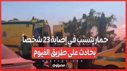 حمار يتسبب في إصابة 23 شخصاً بحادث على طريق الفيوم... ماذا حدث ؟