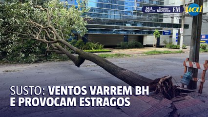 Ventos varrem BH e chegam a 72% do poder de um furacão