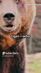 Fantasy Animal Battles Based on Science!