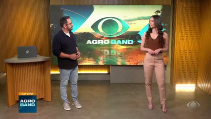 Giro Brasil: cacau artesanal no Pará, exportações de avocado e soja ilegal