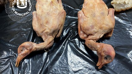 Cierran un restaurante chino en Usera que servía palomas como si fuera pato laqueado