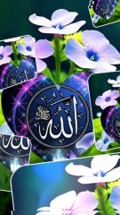 New Islamic tik tok video  #shorts #islam #tiktok