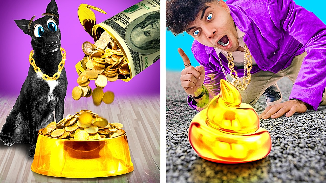 Un Chien A Eté Adopté par une Famille de Milliardaires ! Animaux Riches VS Pauvres par La La L'R