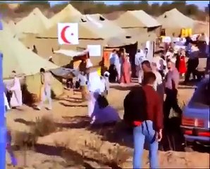 New War Movie   Best Action Movies English Hollywood   Hot War American Movie  HD