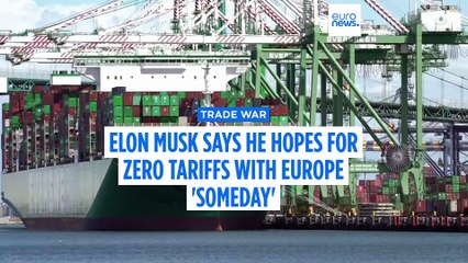 Elon Musk says he hopes for 'free trade zone' between Europe and the US