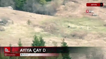 Artvinli gençler ayıyı çaya davet etti