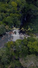 Surah Al-Ankaboot 29:59-60 سورة العنكبوت  🕷