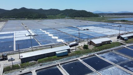 미, 한국 최대 '태평염전' 소금 수입금지..."강제 노동" / YTN