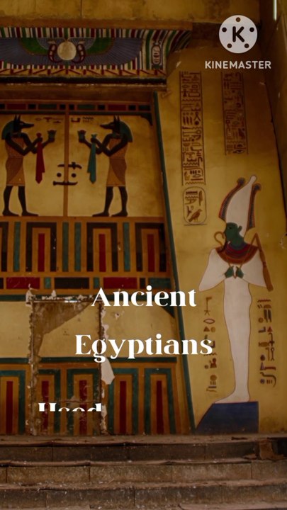 The Sweet Medicine of Ancient Egypt!🍯🗿 #honey # honey facts #Ancient Egypt #facts